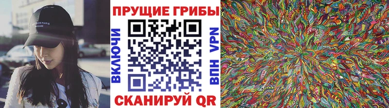 сколько стоит  Фурманов  Галлюциногенные грибы GOLDEN TEACHER 